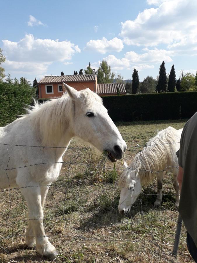 Le Mas Josephine Saint-Remy-de-Provence Bagian luar foto